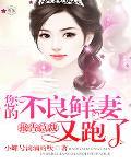 报告总裁,您的不良鲜妻又跑了