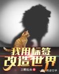 我用标签改造世界